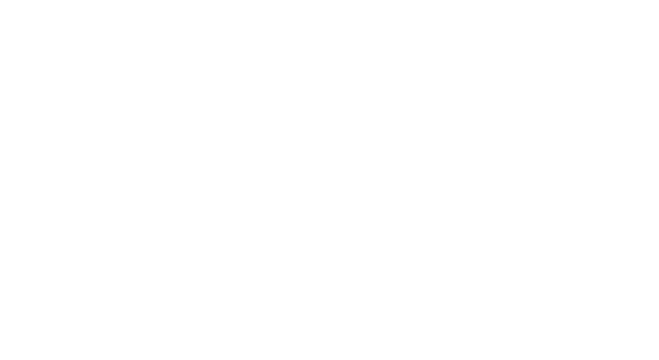 Dacia Logo Blanc
